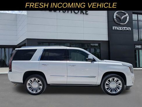Used 2020 Cadillac Escalade Platinum RWD image 2