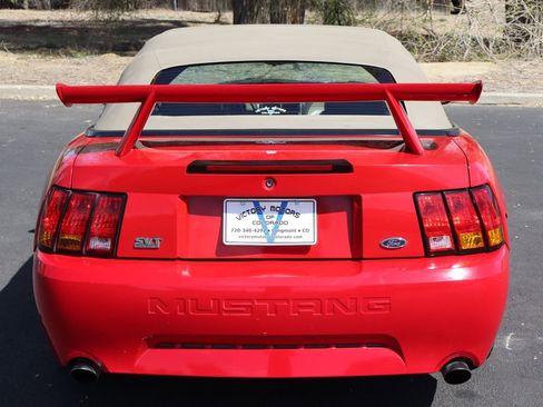 Used 1999 Ford Mustang Cobra image 6