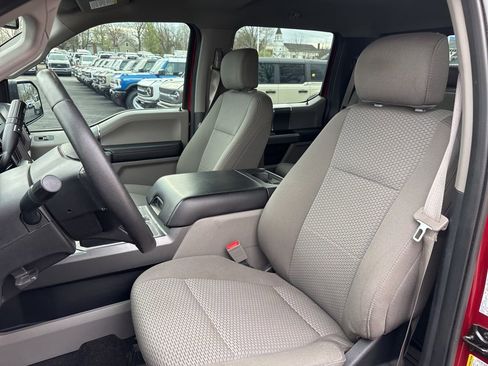 Used 2019 Ford F150 XLT w/ Equipment Group 302A Luxury image 4