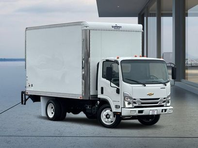 New 2025 Chevrolet Low Cab Forward