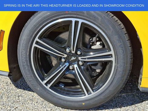 Used 2024 Ford Mustang Premium RWD image 8