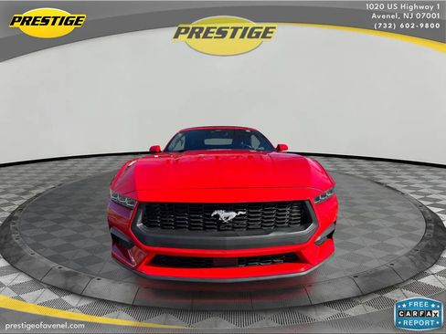 Used 2024 Ford Mustang Premium image 2