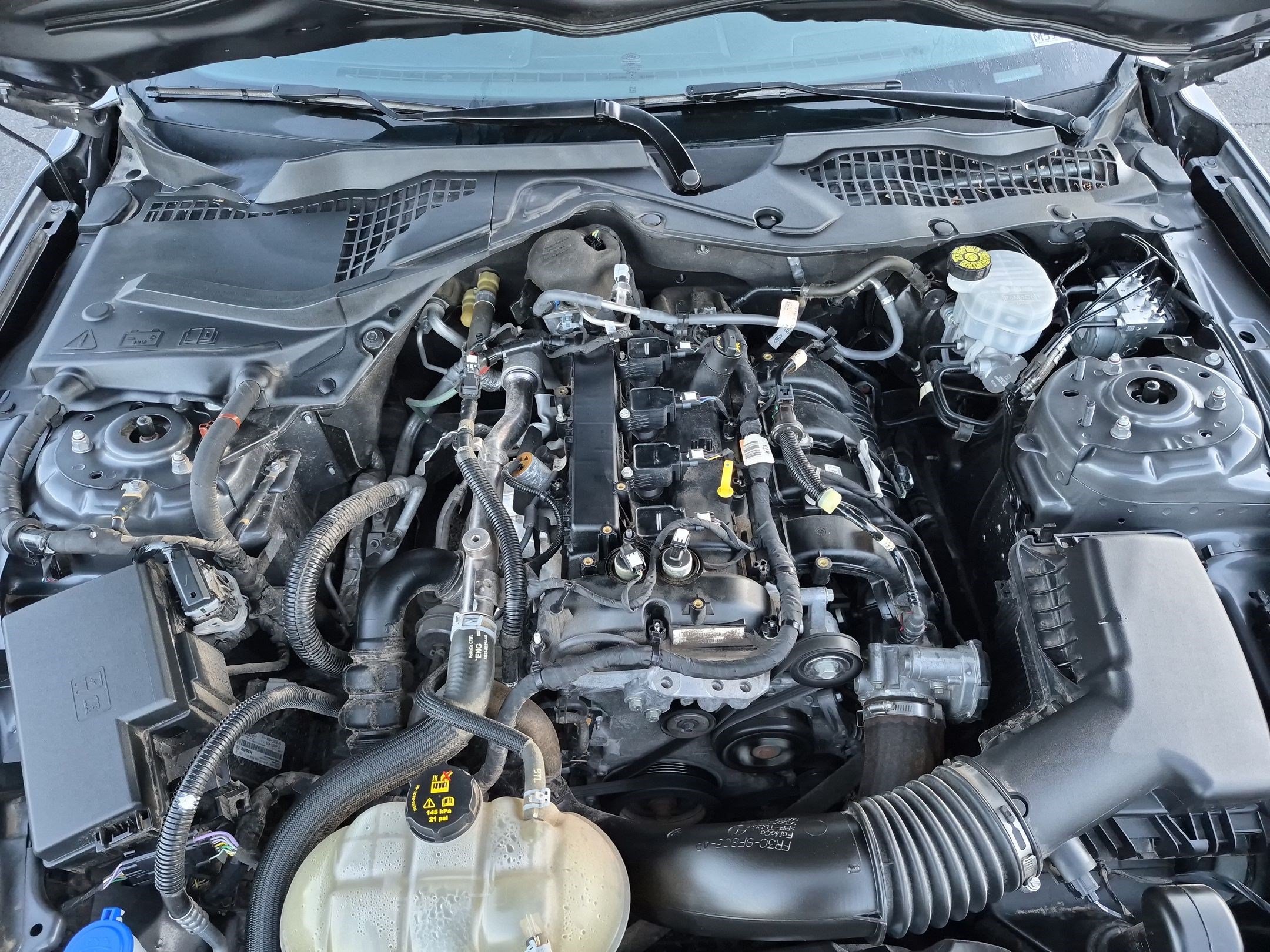 Used 2021 Ford Mustang Coupe RWD image 34
