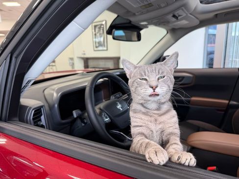 New 2025 Ford Transit 350 XLT image 8