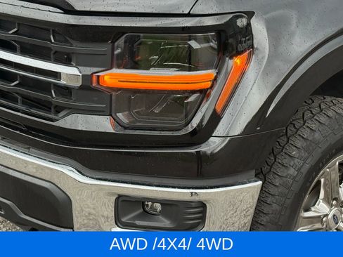 Used 2025 Ford F150 XLT w/ Equipment Group 301A Standard image 13