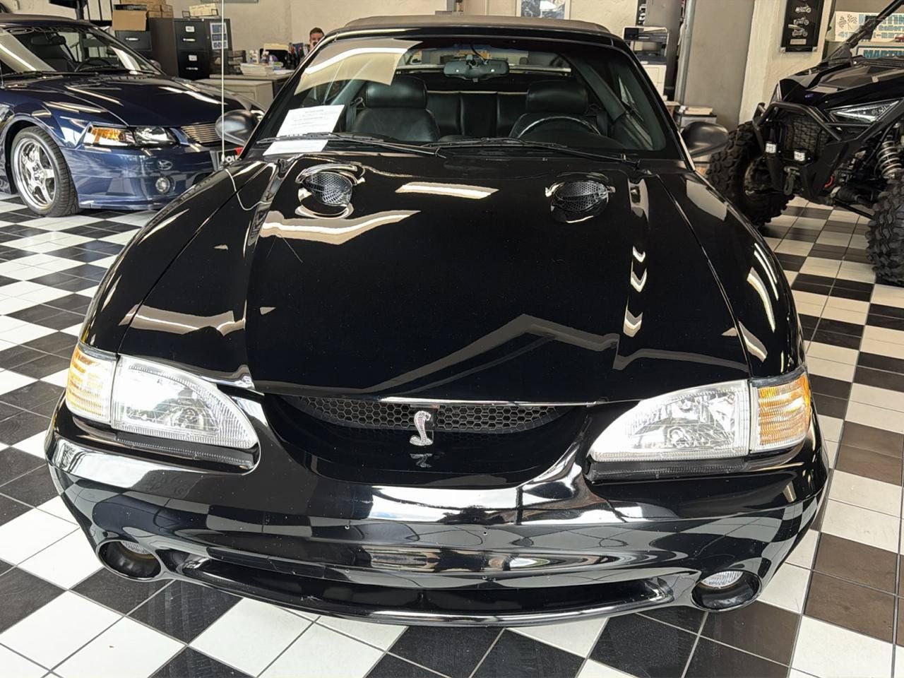 Used 1996 Ford Mustang Cobra RWD image 6