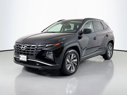 Used 2023 Hyundai Tucson Blue