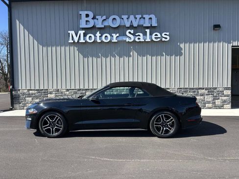 Used 2019 Ford Mustang Premium image 2