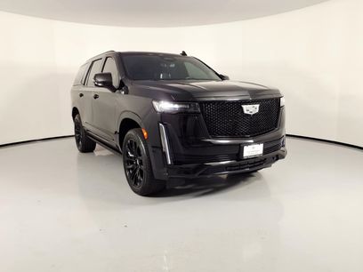 Certified 2024 Cadillac Escalade Sport Platinum w/ LPO, ONYX Package
