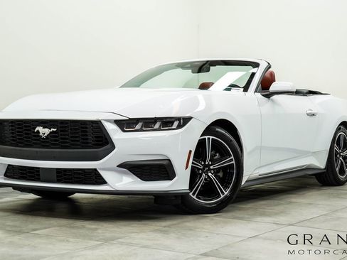 Used 2024 Ford Mustang Premium RWD image 1