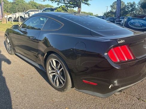 Used 2015 Ford Mustang Premium RWD image 3