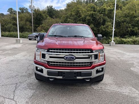 Used 2019 Ford F150 XLT w/ Equipment Group 302A Luxury AWD/4WD image 3