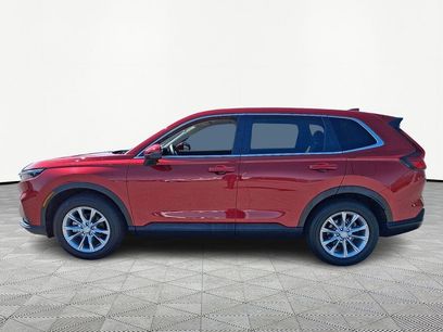 Used 2025 Honda CR-V EX