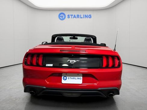 Used 2020 Ford Mustang Premium RWD image 7