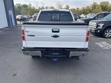 Used 2014 Ford F150 XLT w/ Equipment Group 302A Luxury image 4