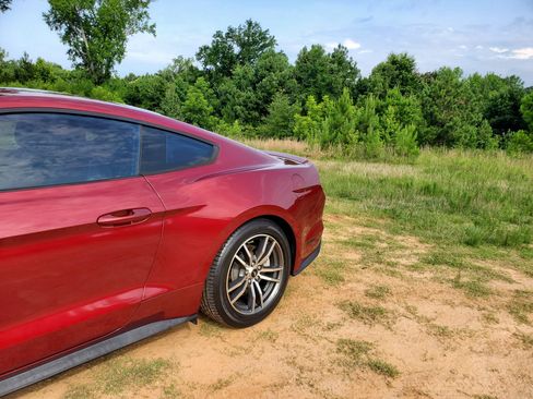 Used 2016 Ford Mustang Premium w/ Equipment Group 201A RWD image 4