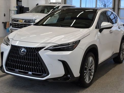 Used 2025 Lexus NX 350 Luxury image 9