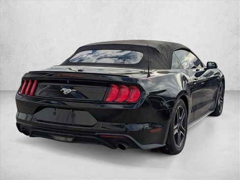 Used 2019 Ford Mustang EcoBoost w/ Equipment Group 101A image 4