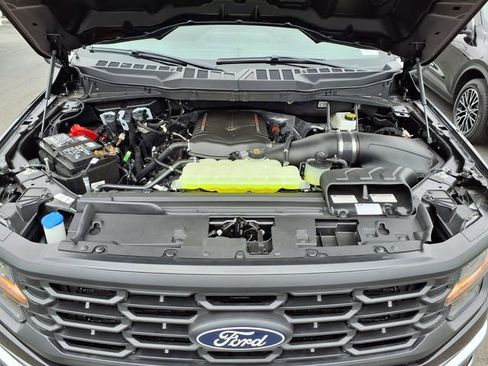 New 2026 Ford F150 XL w/ Equipment Group 103A High AWD/4WD image 15
