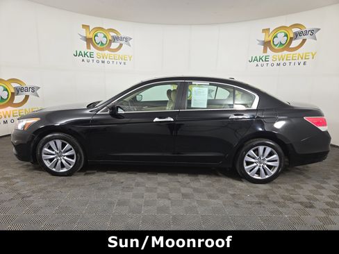 Used 2011 Honda Accord EX-L image 5