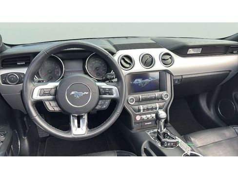 Used 2017 Ford Mustang Premium w/ Equipment Group 201A image 15