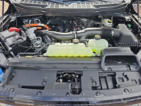 New 2025 Ford F150 XLT w/ Equipment Group 303A High image 33