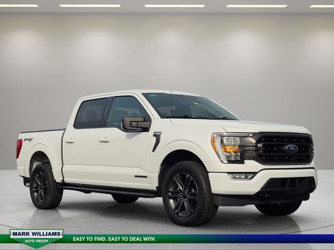 Used 2023 Ford F150 XLT w/ Equipment Group 302A High AWD/4WD image 1