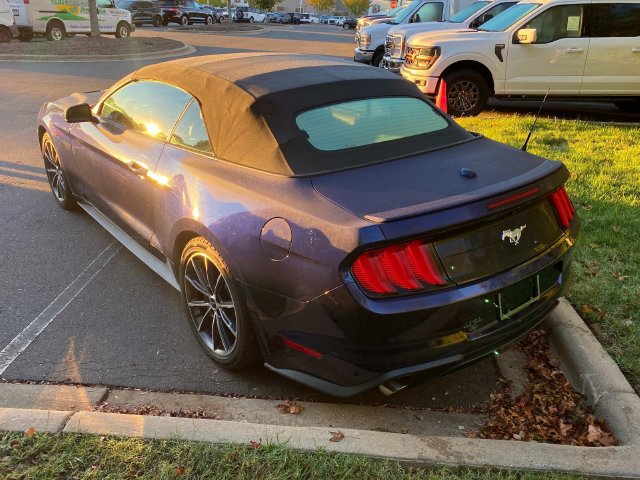 Used 2019 Ford Mustang Premium w/ Equipment Group 201A RWD image 31