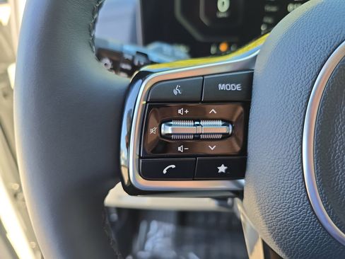 New 2026 Kia Carnival SX Prestige image 19