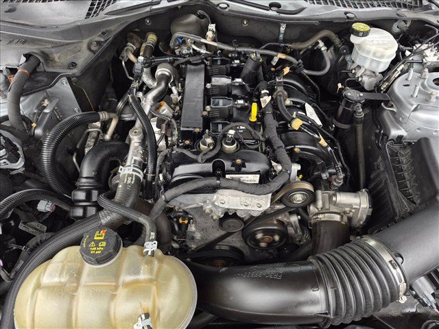 Used 2023 Ford Mustang Coupe w/ Equipment Group 101A RWD image 20