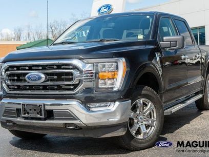 Used 2023 Ford F150 XLT w/ Equipment Group 302A High