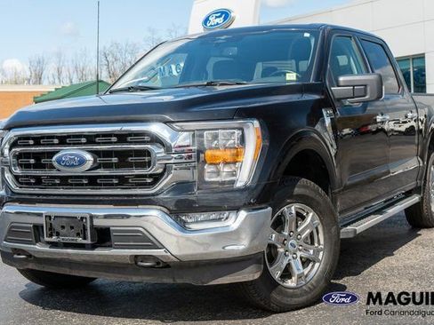 Used 2023 Ford F150 XLT w/ Equipment Group 302A High image 1