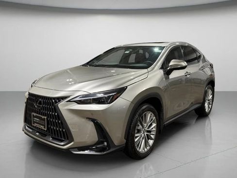 Used 2025 Lexus NX 350h AWD w/ Cold Area Package image 8