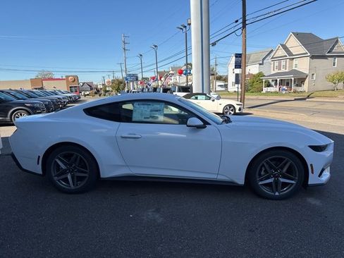 New 2026 Ford Mustang EcoBoost image 5