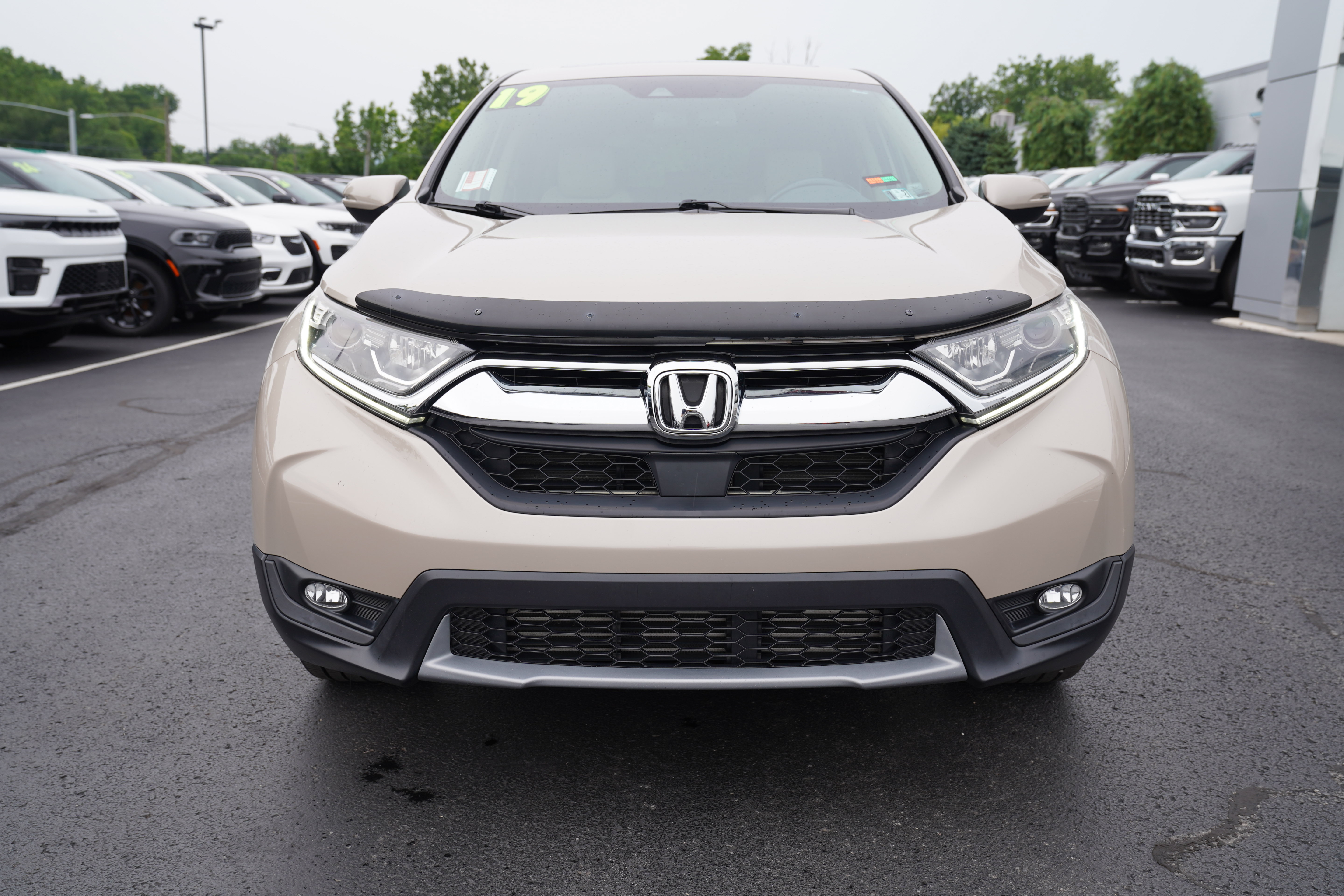 Used 2019 Honda CR-V EX-L image 10