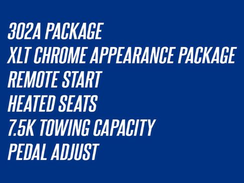 Used 2016 Ford F150 XLT w/ Equipment Group 302A Luxury image 3