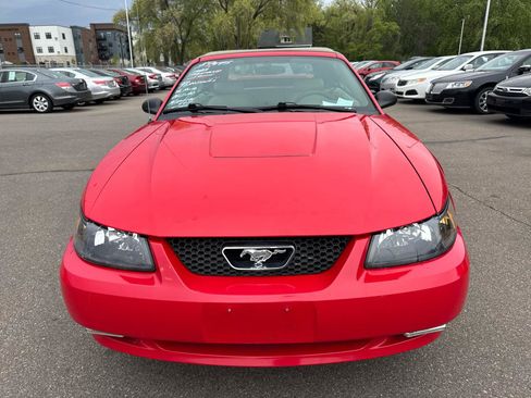 Used 2003 Ford Mustang Premium RWD image 2