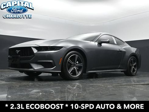 Used 2025 Ford Mustang Coupe RWD image 19
