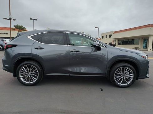 Used 2025 Lexus NX 350h AWD w/ Cold Area Package image 4