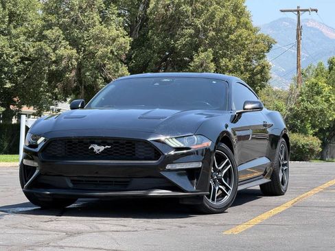 Used 2022 Ford Mustang Premium RWD image 1