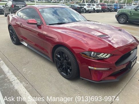Used 2019 Ford Mustang Coupe image 1