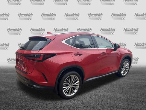Used 2025 Lexus NX 350 AWD w/ Cold Area Package image 10