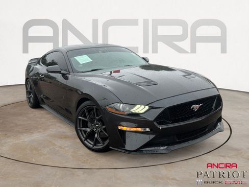 Used 2022 Ford Mustang GT Premium w/ Equipment Group 401A RWD image 1