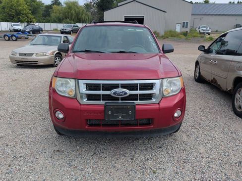 Used 2011 Ford Escape XLT w/ 203A Rapid Spec Order Code FWD image 7