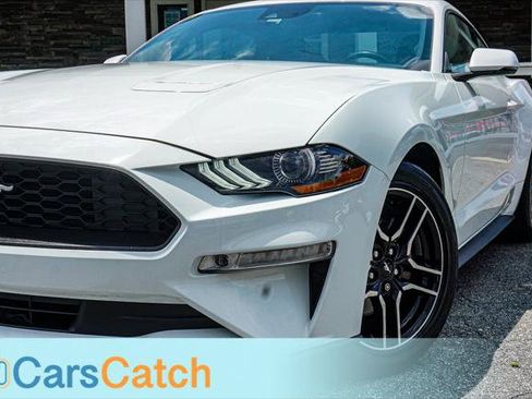 Used 2019 Ford Mustang Premium w/ Ford Safe & Smart Package RWD image 6