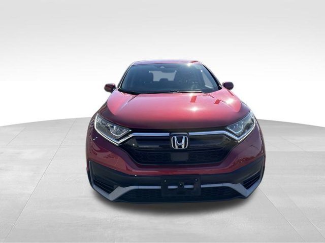 Certified 2021 Honda CR-V Special Edition image 3