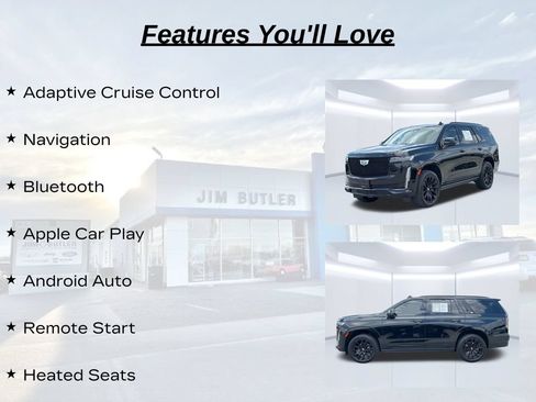 Used 2022 Cadillac Escalade Sport Platinum w/ LPO, ONYX Package AWD/4WD image 10