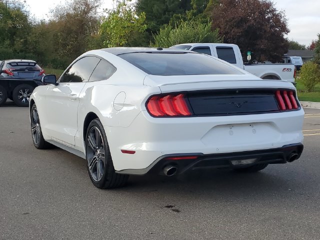 Used 2018 Ford Mustang Premium w/ Wheel & Stripe Package RWD image 3
