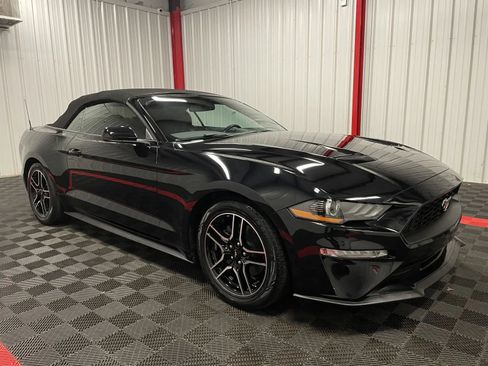 Used 2019 Ford Mustang Premium image 8
