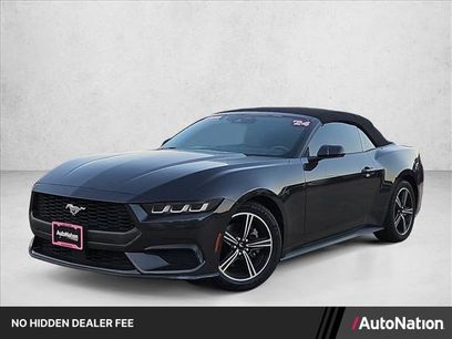 Used 2024 Ford Mustang Premium